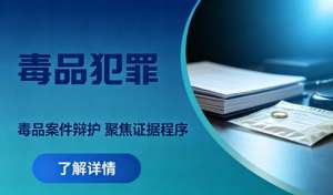 毒品犯罪辩护：证据、程序与量刑