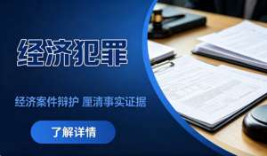 经济犯罪：繁华背后的暗流与博弈