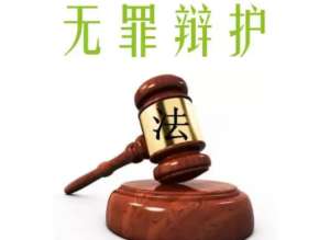 无罪辩护 用证据捍卫当事人清白