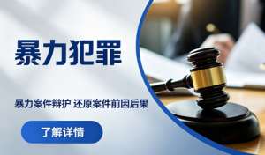 剖析暴力犯罪成因 构建多层次社会防控体系