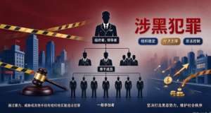 涉黑犯罪与涉恶犯罪的边界辨析：并非只是程度轻重的差别