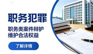 职务犯罪辩护，重点审查证据与案件定性问题